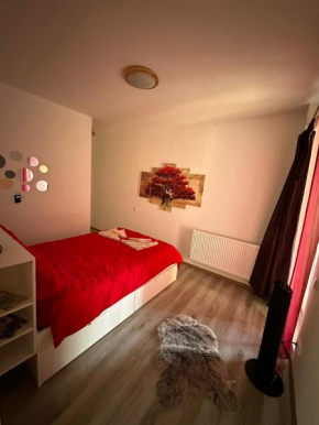Red Corner Central Apartment